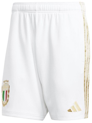 Italy 125th anniversary jersey special edition soccer uniform men's white sportswear football shirt 2023-2024